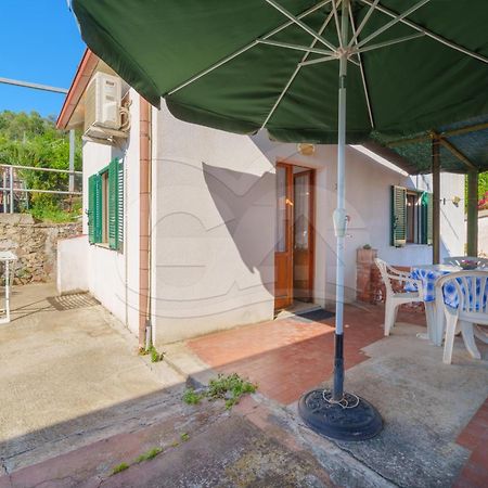 Appartamento Le Conchiglie - Goelba ポルトフェッラーイオ エクステリア 写真
